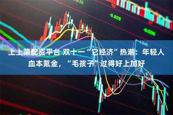 上上策配资平台 双十一“它经济”热潮：年轻人血本氪金，“毛孩子”过得好上加好