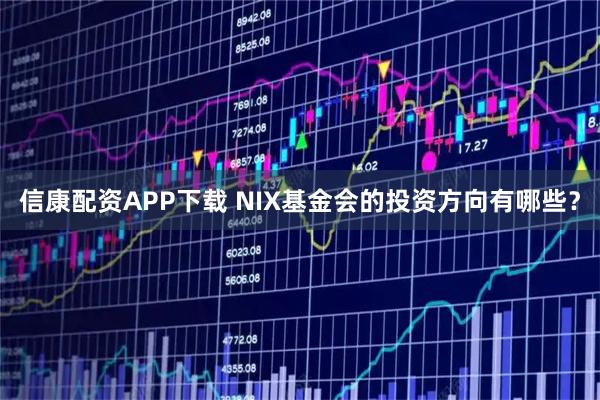 信康配资APP下载 NIX基金会的投资方向有哪些？