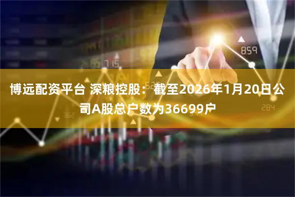 博远配资平台 深粮控股：截至2026年1月20日公司A股总户数为36699户
